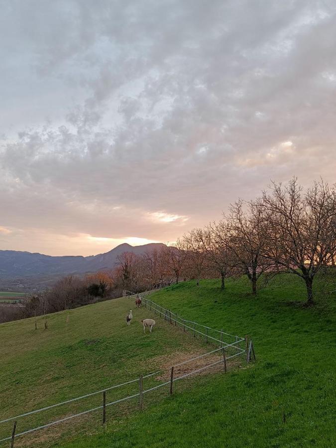 Le Perchoir Du Vercors - Panorama Sur Les Cimes Saint-André-en-Royans Εξωτερικό φωτογραφία